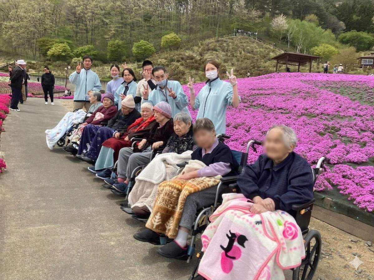 芝桜観賞