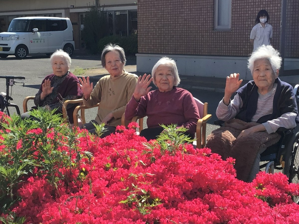 お花見 お花見