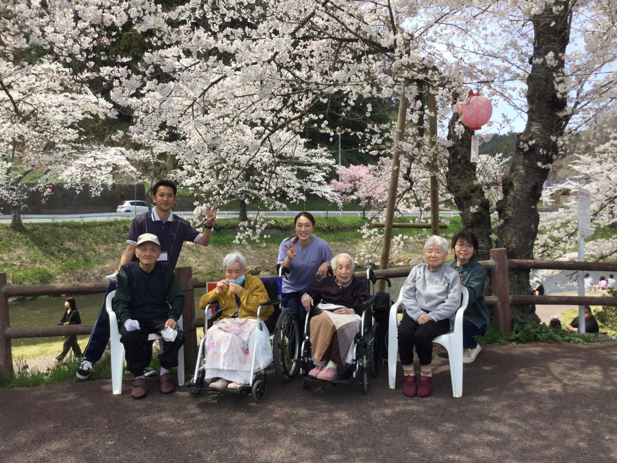 桜観賞